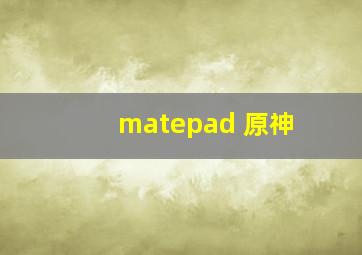 matepad 原神